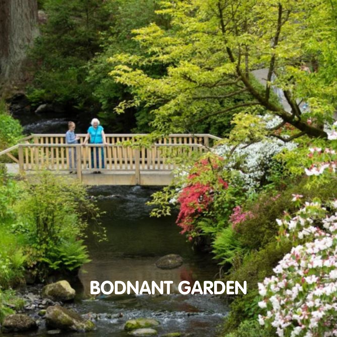 bodnant garden video by emiko corney